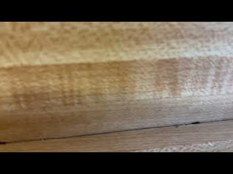 Counters In the Kitchen Infested with Ants in Allenwood, NJ