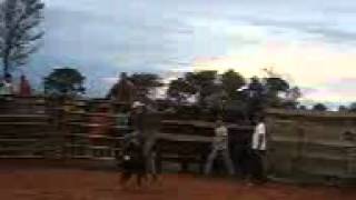 preview picture of video 'rodeio em pereiras(chácara ipê)(Juninho versos corinthiano)'