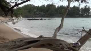 preview picture of video 'Waialea Bay, South Kohala, Hawaii, The Big Island'