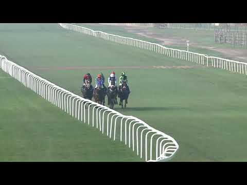 2020.11.08. 01. futam - MAFE TATTERSALLS DÍJ (I. kat.)