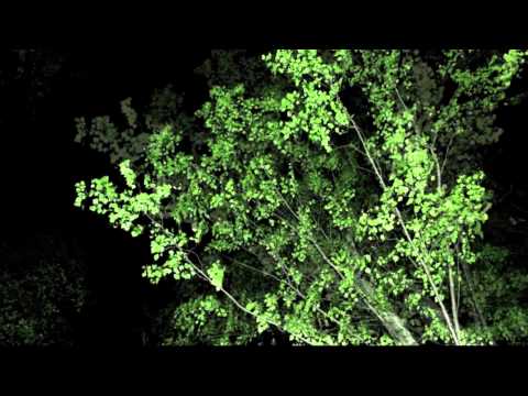 Ray Okpara feat. Robert Jankovic - Dreamracing (mobilee records)