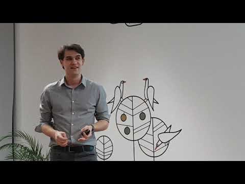 Alex Bordei - WP REST API - An amazing out-of-the-box feature - part1