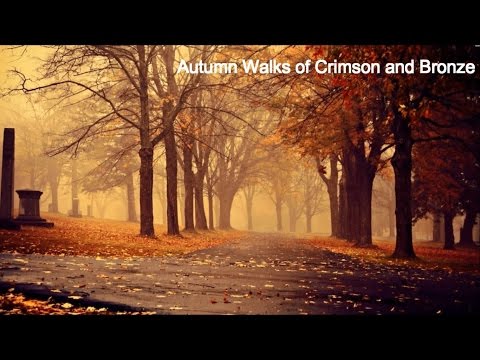 Songs for Walking Through Autumn || Playlist