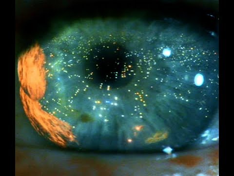 LOOP TRIGGER- Blade Runner - electric cello & loop station cover [ live act ]