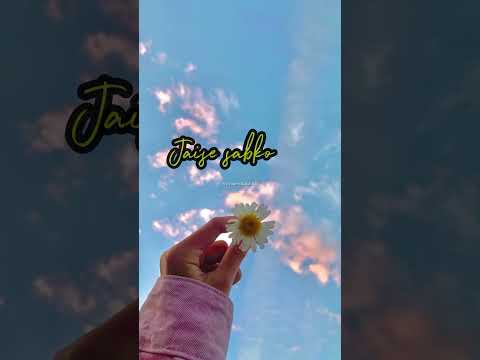 My Dil Goes Mmmm | status song | Salaam Namaste | Saif Ali Khan, Preity Zinta | Shaan, Gayatri lyer