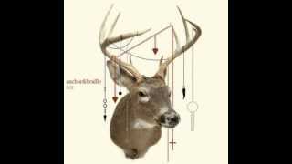 Anchor &amp; Braille - Introspect (lyrics)