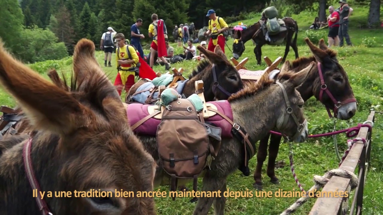 Tous en action ! Pyrénées catalanes : Fête de la Saint-Jean