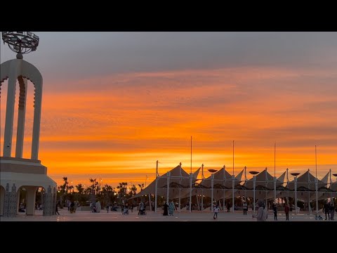 Chilling in the world's largest disputed territory (Laayoune, Western Sahara / Morocco)