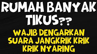 Download lagu RUMAH BANYAK TIKUS WAJIB DENGARKAN SUARA JANGKRIK PENGUSIR TIKUS AMPUH TANPA IKLAN 2 JAM! mp3