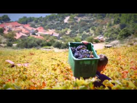 Splitsko - Dalmatinska Županija