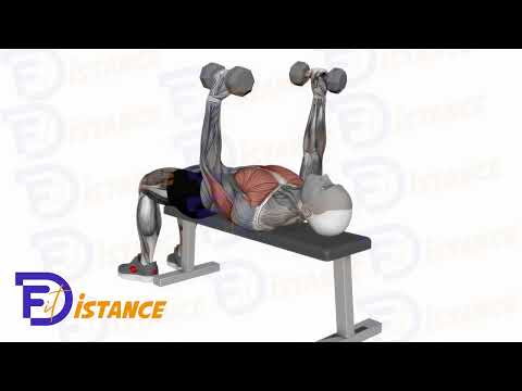 Développé couché avec haltères en prise marteau - Exercice Développé couché avec haltères en prise marteau en vidéo