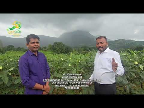 Ulifgros field awareness video