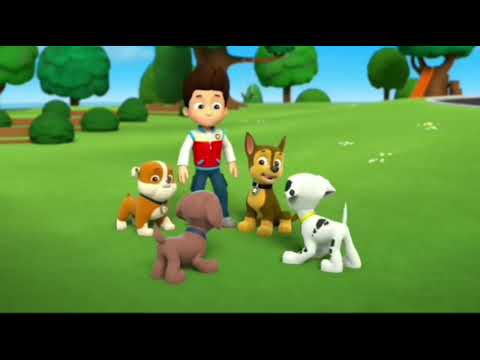Paw Patrol - Chase Doesn't want to go the Dentist from Pups Save a Toof