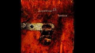 Assemblage 23 - Let Me Be Your Armor (lyrics)