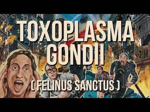 Ultra Vomit - TOXOPLASMA GONDII (FELINUS SANCTUS) (Visualizer Officiel)