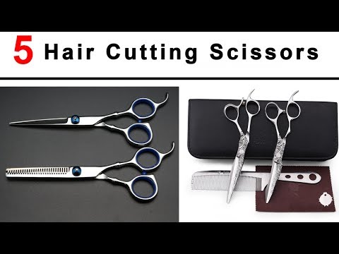 download lagu mp3 mp4 Brainbow Company, download lagu Brainbow Company gratis, unduh video klip Brainbow Company