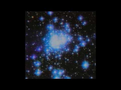 [FREE] Dro Kenji x Lil Tecca x Nick Mira Type Beat 2021| "What u want"