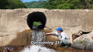 Download lagu Dansoonlog357 Even in the Countryside, Nothing Comes Free | Self-Sufficient Life Vlog mp3
