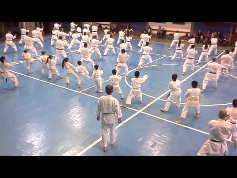 SEMINARIO DE KARATE JKA EN MELO  SENSEI MITSUO INOUE
