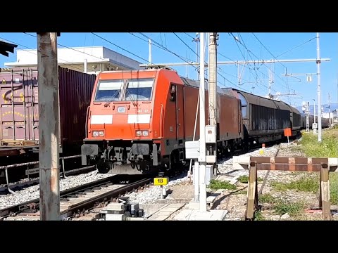 I Treni della linea per Chiasso a Desio