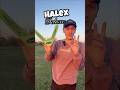 A BOOMERANG From Rite Aid ‍ Buffalo Boomerang Fun