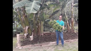 Explicando a Fossa Ecológica (Tevap)