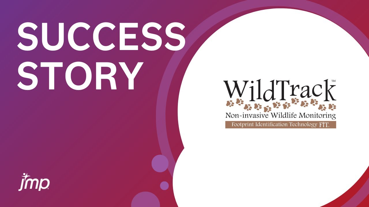 Transforming wildlife conservation with predictive analysis