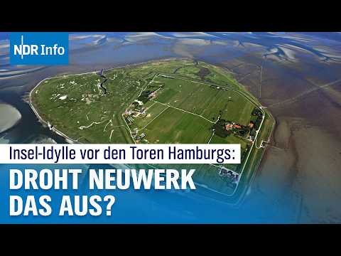 Insel Neuwerk vor dem Aus? Hamburg kämpft mit Investitionen gegen Bewohnerschwund | NDR Info