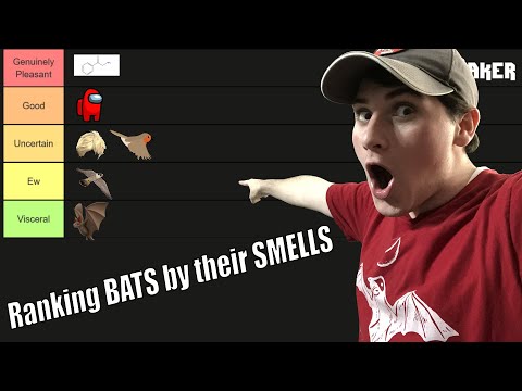 Ranking BATS by their SMELLS???