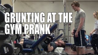 Download lagu GRUNTING AT THE GYM PRANK mp3