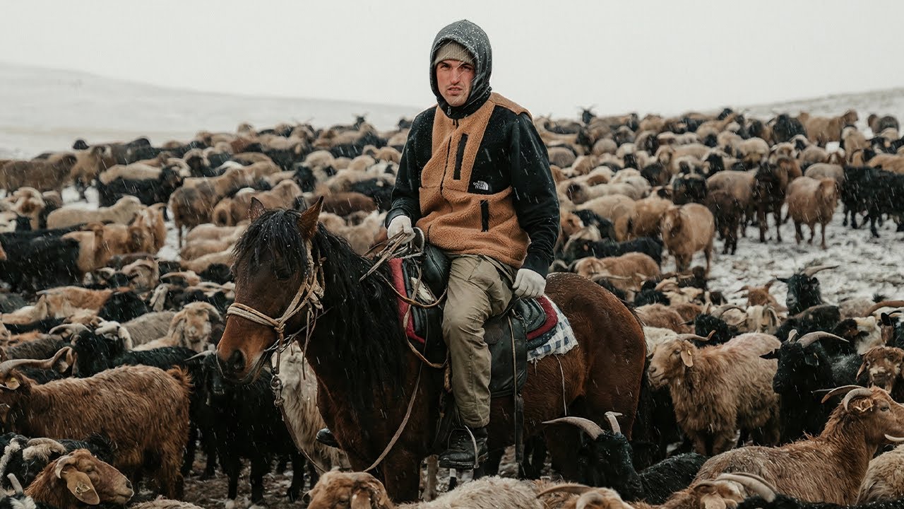 48 Horas Extremas: Mover el Ganado para Sobrevivir
