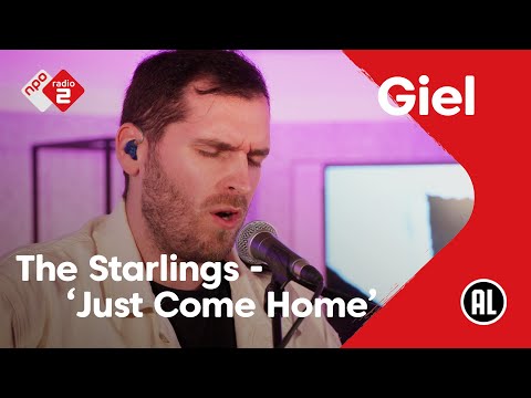 The Starlings - Just Come Home | NPO Radio 2