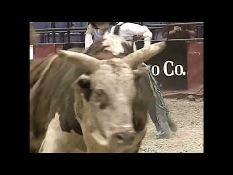 Hollywood bucks B.J. Kramps - 99 PBR St. Louis