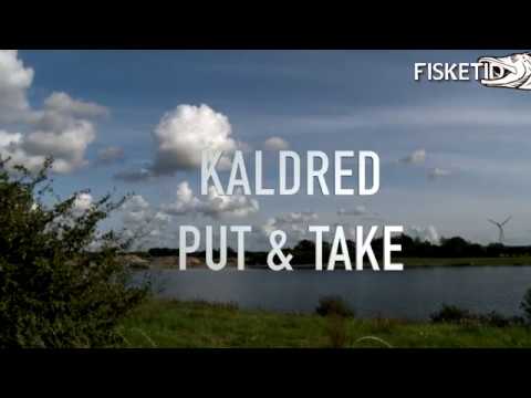 Størfiskeri i Kaldred Put & Take