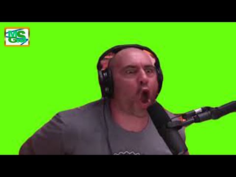 This is What a Healthy Disagreement Looks like Meme Green Screen