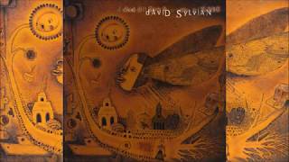 David Sylvian  / Dead Bees on a Cake (Full Album)