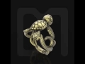 Golden Turtle Animation