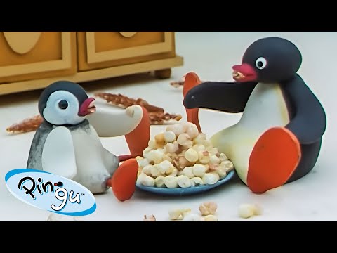 Pingu at Home ???? | Pingu - Official Channel | Cartoons For Kids