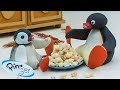 Pingu At Home Pingu Official Channel Cartoons For Kids
