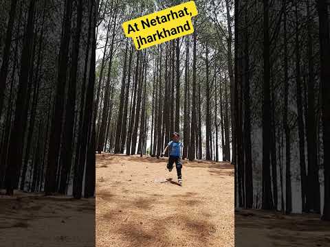 Ashvik youtuber#dance #shorts #youtubeshorts #ytshorts #instagram#nature