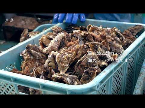 塩竈市観光動画 浦戸全島篇