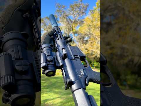 M&P 15-22 pew pew