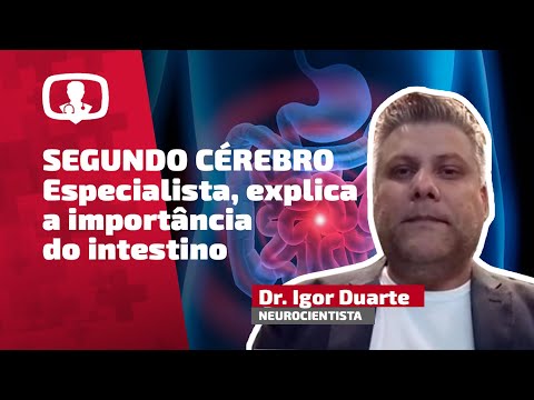 Neurocientista explica ligação entre cérebro e intestino