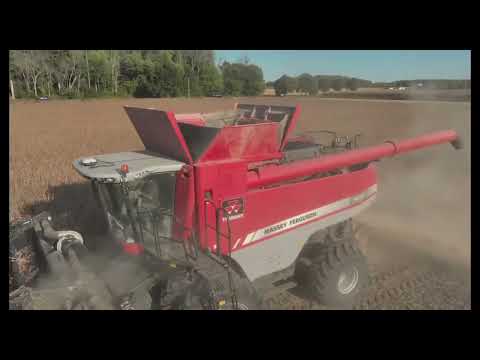 Massey Combine #grainfarming #viral #bigequipment #notEurope #agriculture #masseyferguson #farming