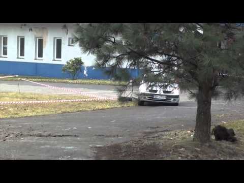 VII Runda SMT 2012 - Sergiusz Madej Piotr Kapturski Renault Clio by OesRecords