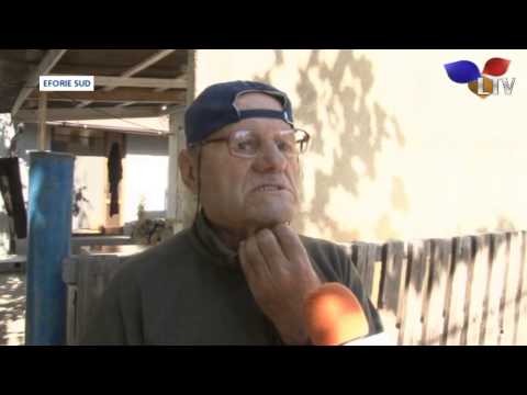 Caz incredibil in stațiunea Eforie Sud - Litoral TV