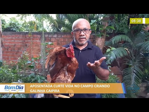 Vida no campo 25 11 2021