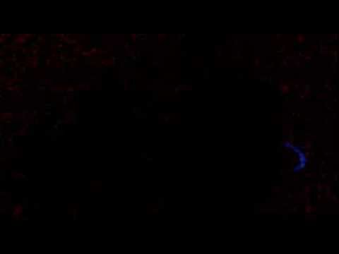 Dany si Dana de la Victoria Bronx Fagaras