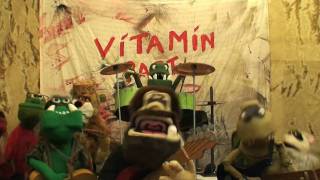 Vitamin Party Music Video: AnimalFarm: by Animaltrash.com