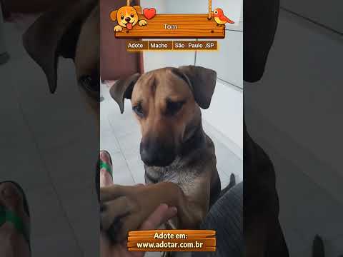 Vídeo de Tom